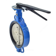 Затвор ду 125 Ру16 ЧАЗ (108100009) - фото - 1