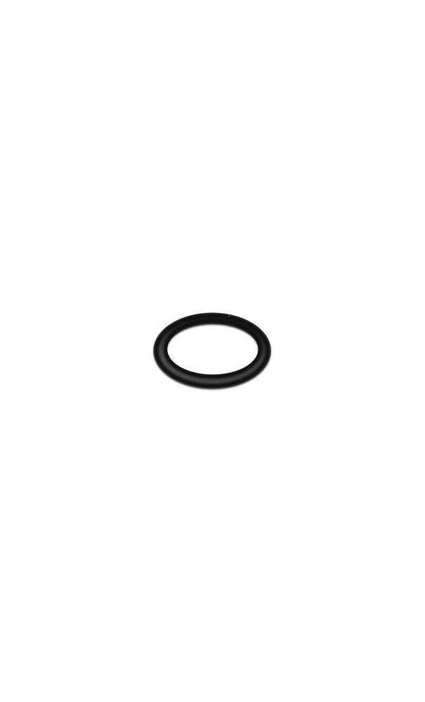 кольцо МП ДУ 16 069005 - фото - 1